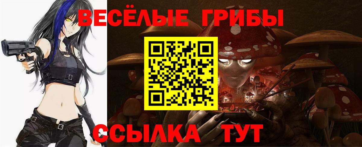 Галлюциногенные грибы прущие грибы Холмск